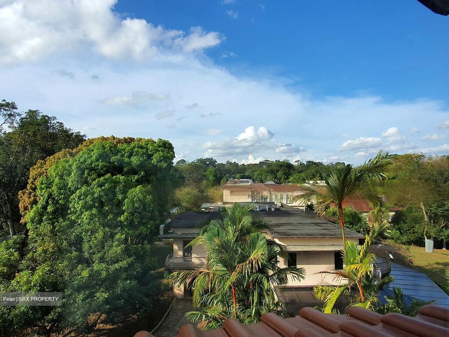 Bin Tong Park (D10), Detached #468538041